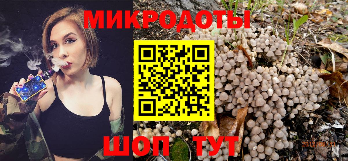 Галлюциногенные грибы MAGIC MUSHROOMS  где можно купить   Волхов  Вход с VPN  Галлюциногенные грибы мицелий 